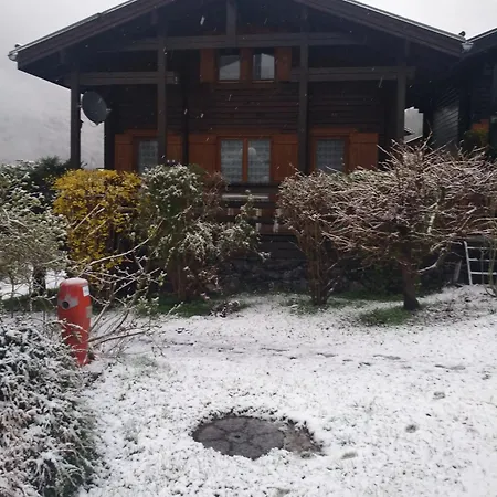 Chalet De 2 Avec Terrasse Amenagee A Fer A Cheval Sixt